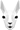 Spitting Llama Shopware Agentur